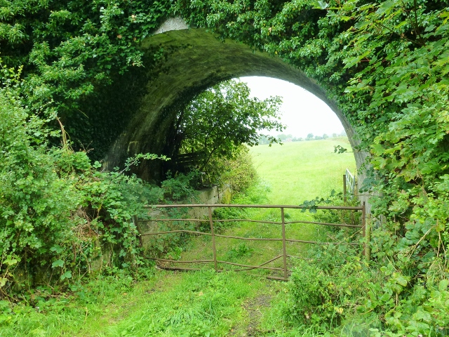 Ulster Canal deserted bridge